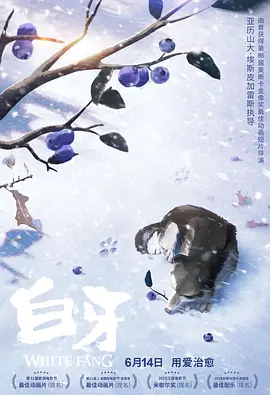 久草视频这里只有精品