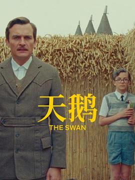 中文久久激情